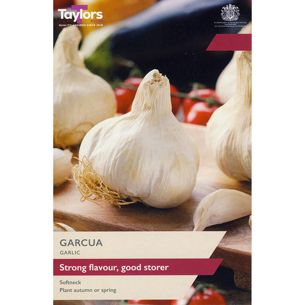 'Garcua' Garlic (2 Bulbs) image 0