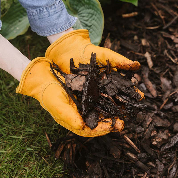 Westland Landscape Bark (90-Litre Bag) image 1