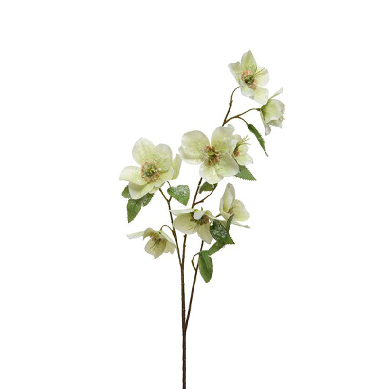 Everlands White Hellebore Spray (56cm) image 0