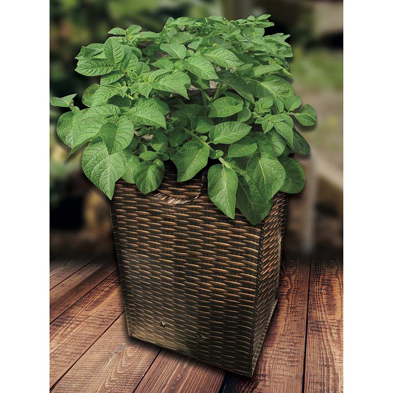Outdoor Potato Growing Bag image 0