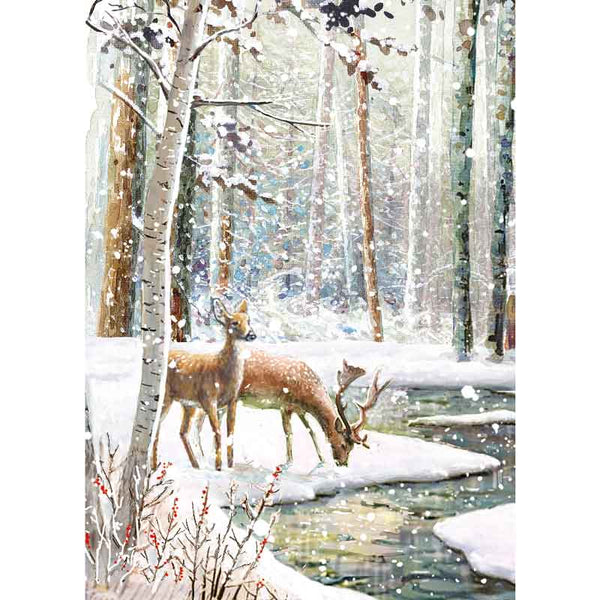 Ling Design Big Value Box - Winter Wildlife (Pack of 24) image 5