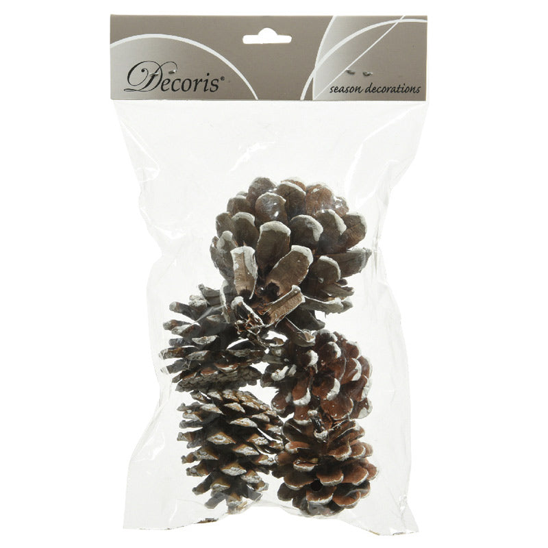 Decoris Natural Pinecones with White Tips image 0