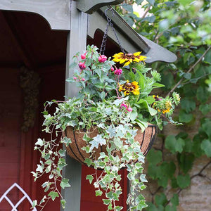 Smart Garden Smart Hanging Basket (14-inch) image 0