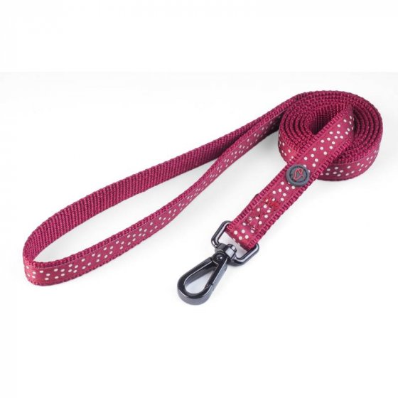 Zoon WalkAbout Dog Lead image 3