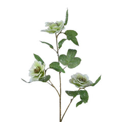 Everlands Green Hellebore Spray (52cm) image 0
