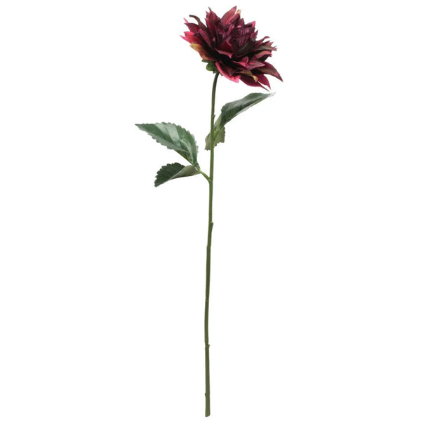 Single Dahlia Stem (61cm) image 5