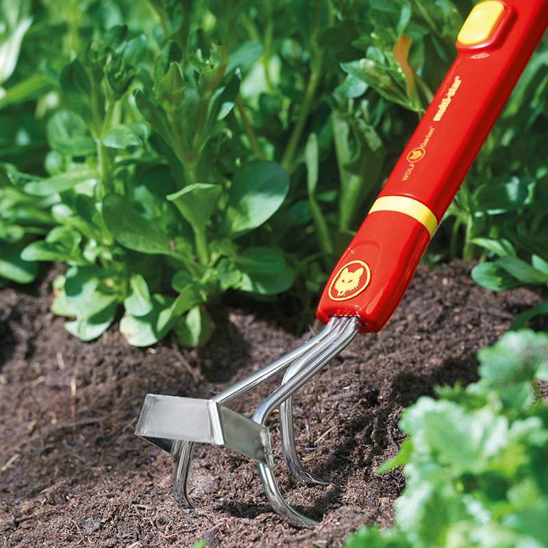 Wolf Garten multi-change Small Cultiweeder image 0