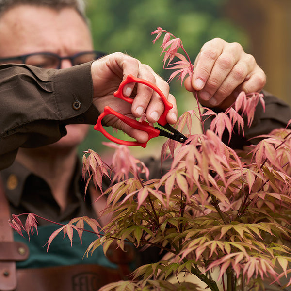 FELCO Model 420 Trimming Scissors Lifestyle Image