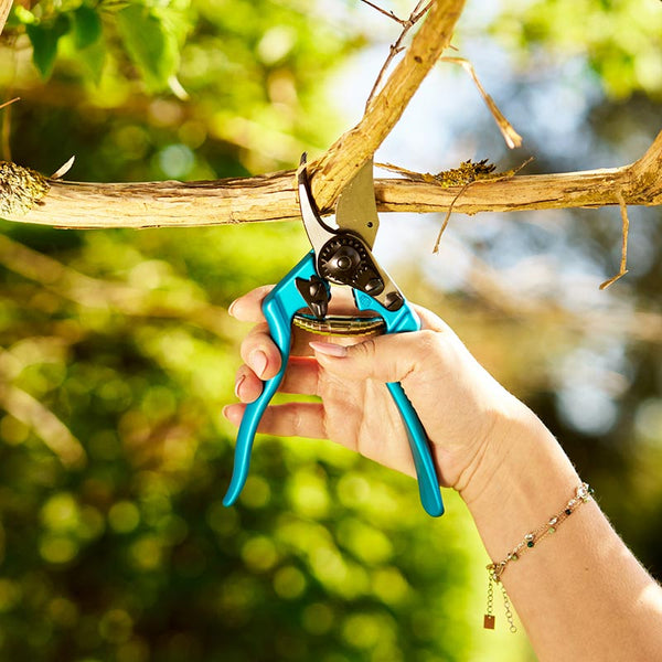 FELCO Model 6 Pruning Shears Color Edition Lifestyle Blue