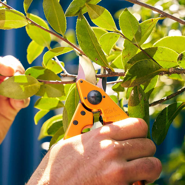 FELCO Model 6 Pruning Shears Color Edition Lifestyle Orange