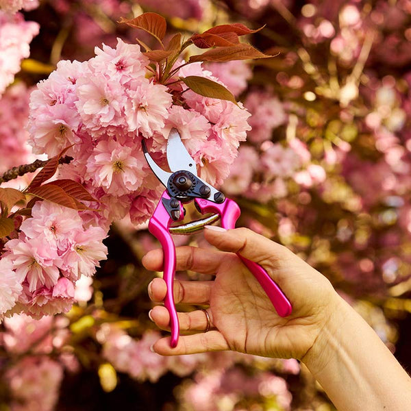 FELCO Model 6 Pruning Shears Color Edition Lifestyle Pink