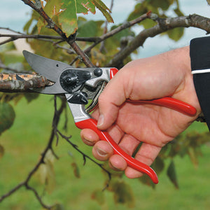 FELCO Model 8 Large Right-Handed Bypass Secateurs Lifestyle Image