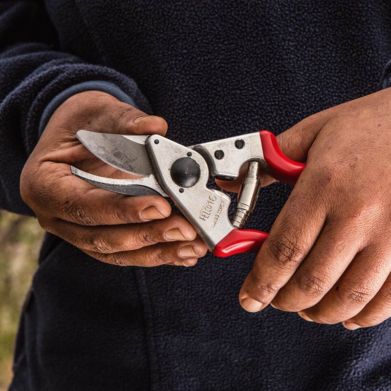 FELCO Model 16 Medium Left-Hand Bypass Secateurs