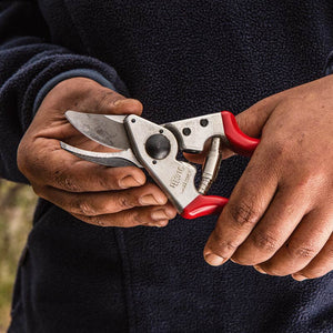 FELCO Model 16 Medium Left-Hand Bypass Secateurs Lifestyle Image