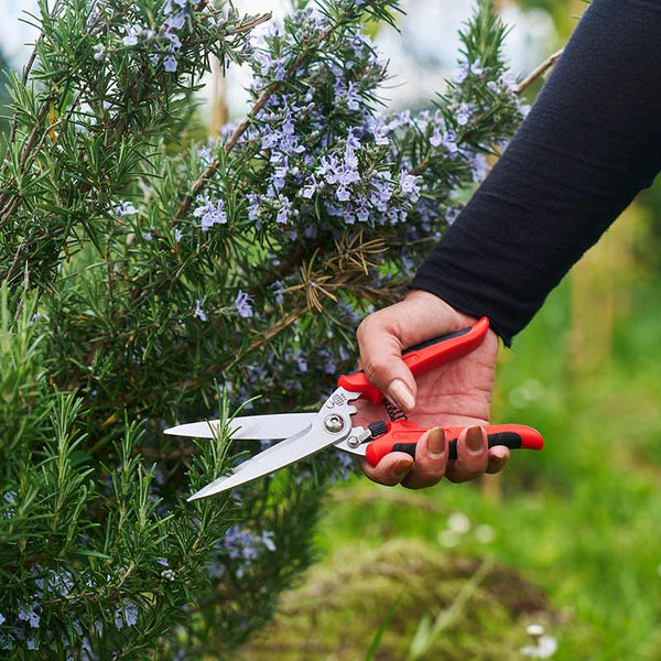 FELCO Model 456 Utility Snips Cutting Herbs