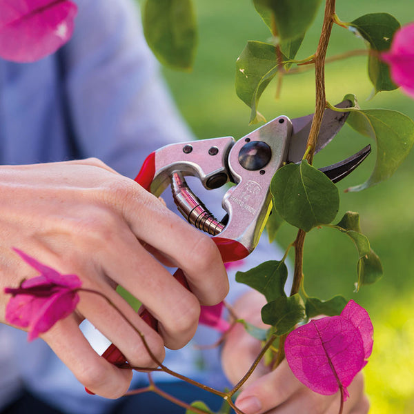 FELCO Model 14 Small Secateurs Cutting Foliage
