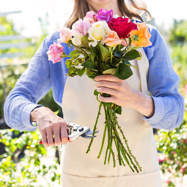 FELCO Model 14 Small Secateurs Cutting Roses