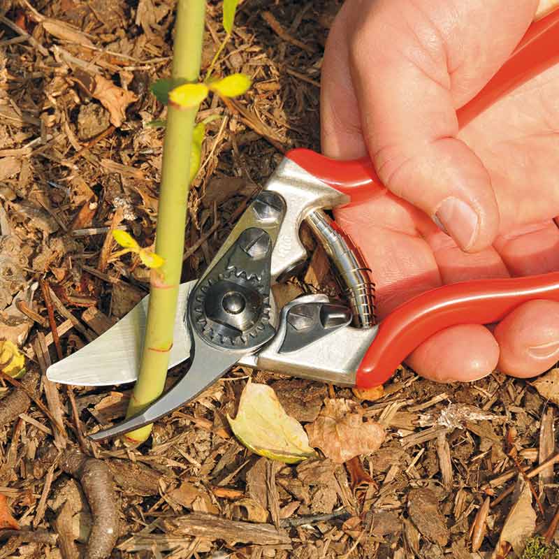 FELCO Model 6 Compact Bypass Secateurs image 0