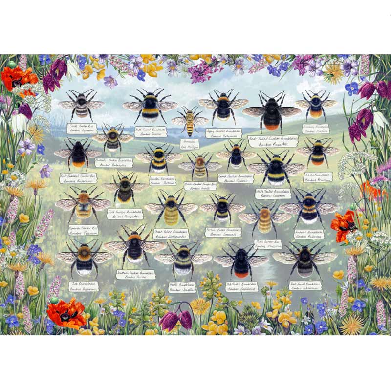 Gibsons Brilliant Bees 1000 Piece Jigsaw Puzzle image 0