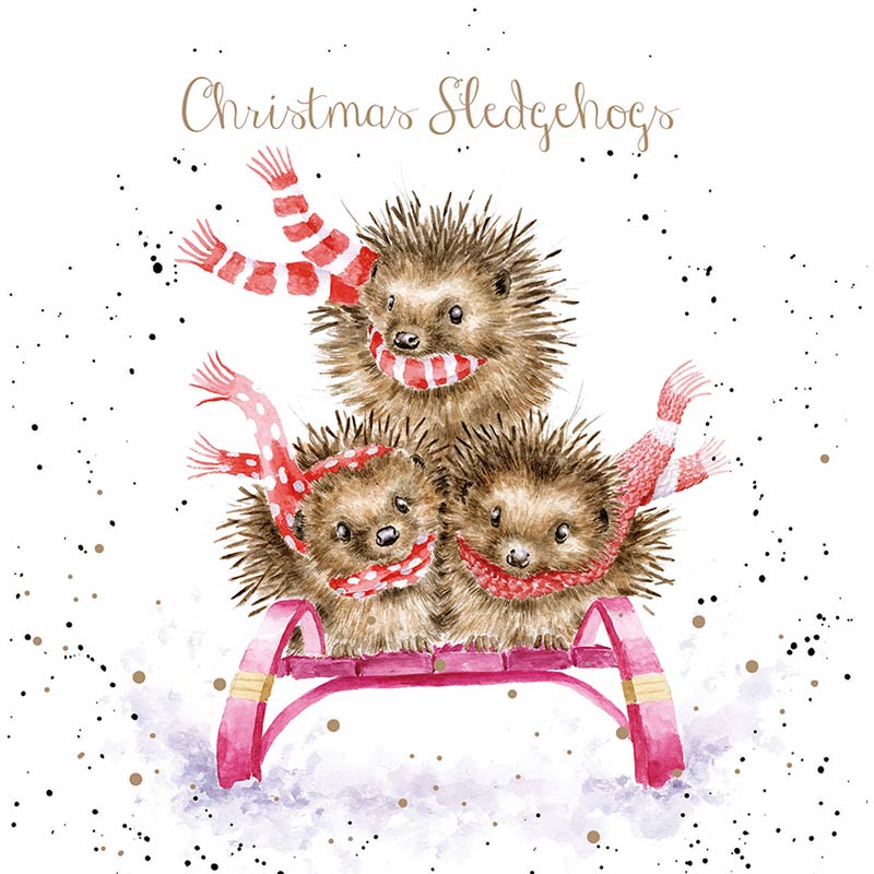 Wrendale Designs Boxed Cards - Sledgehogs (Pack of 8) image 0