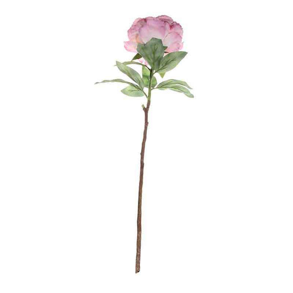 Single Antique Pink Peony Stem (71cm) image 2