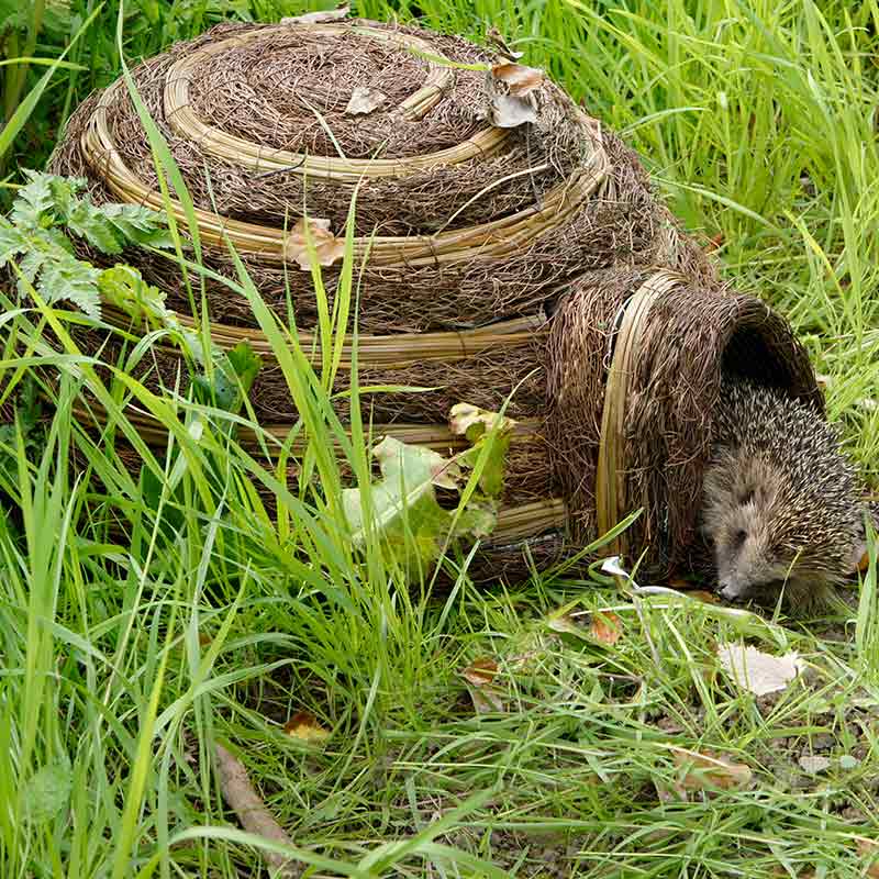 Wildlife World Igloo Hedgehog Home image 0