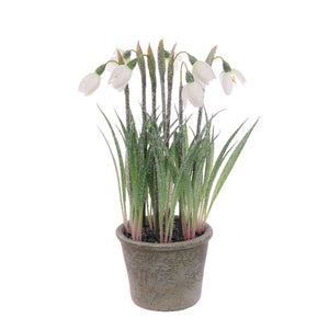 Floralsilk Frosted Snowdrops in Pot