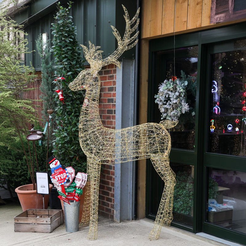 Lumineo Gold Stag