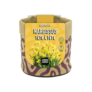 Small Nectar Hanging Kit with Narcissus ‘Tete a Tete’ Daffodil 