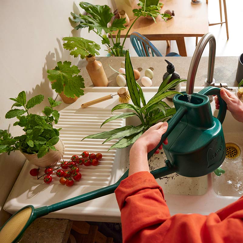 haws-selly-soak-studio-image