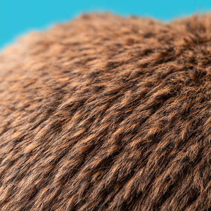 Jellycat Birchly Moose