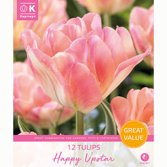 Kapiteyn Tulip Happy Upstar Bulbs
