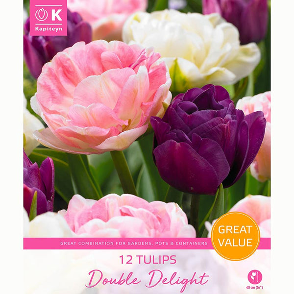 Tulip Double Delight Mix (12 Bulbs)