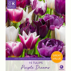 Kapiteyn Tulips Purple Dreams Bulbs