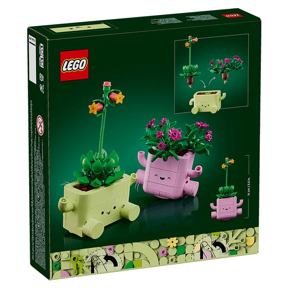 Lego Botanicals Rocking Plants 11506 Box Rear View