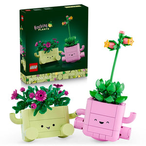Lego Botanicals Rocking Plants 11506 Box and Product