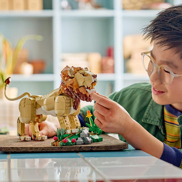 Lego Creator 3 In 1 Majestic Lion 31386 Lifestyle with Boy