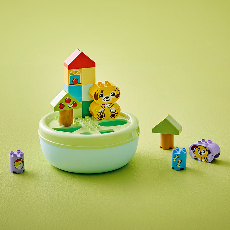 LEGO® DUPLO® Shape Sorter: Puppy House (10441)