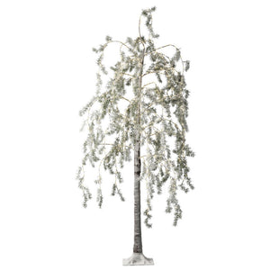 Lumineo Flocked Weeping Cedar