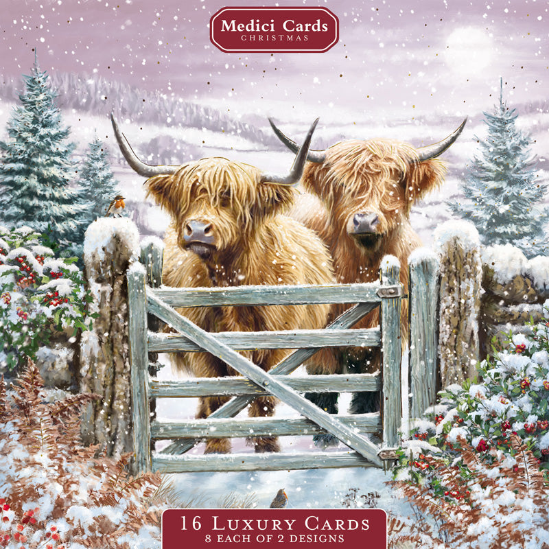 Medici Christmas Highland Cows Luxury Cards (Pack of 16)