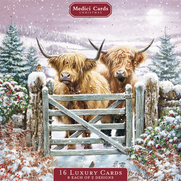 Medici Christmas Highland Cows Luxury Cards (Pack of 16)