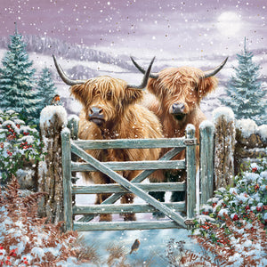Medici Christmas Highland Cows Luxury Cards (Pack of 16)