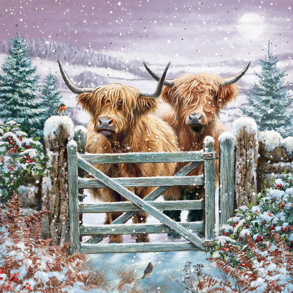 Medici Christmas Highland Cows Luxury Cards (Pack of 16)