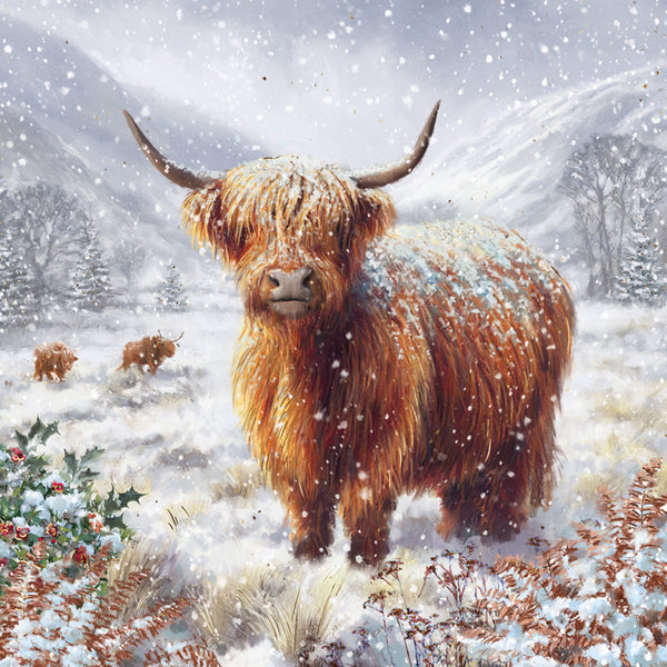 Medici Christmas Highland Cows Luxury Cards (Pack of 16)