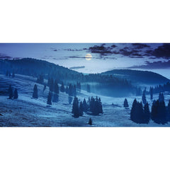 My Village Spooky Forest Cloth Background