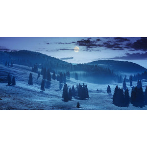 My Village Spooky Forest Cloth Background