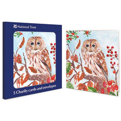 National Trust Owl Charity Christmas Cards (Pack of 5)