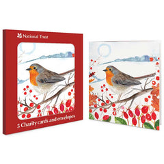 National Trust Robin On Branch Charity Christmas Cards (Pack of 5)