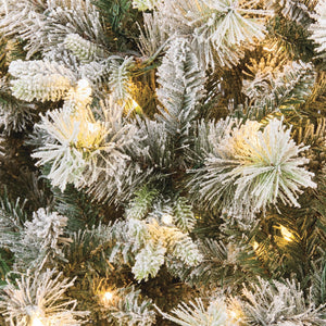 National Tree Stamford Spruce Pine Pre-Lit Christmas Tree