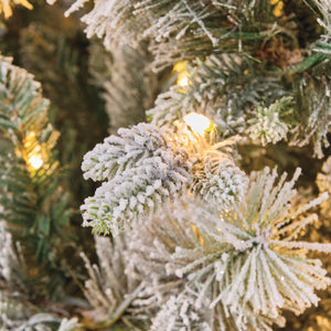National Tree Stamford Spruce Pine Pre-Lit Christmas Tree
